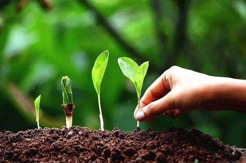 2b5d58819043de29.jpg 2b5d58819043de29.jpg