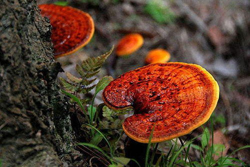 331f22b9b91549ee.jpg 331f22b9b91549ee.jpg