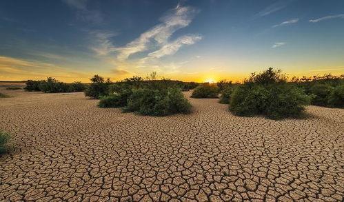 9c65aa58b3cb0181.jpg 9c65aa58b3cb0181.jpg