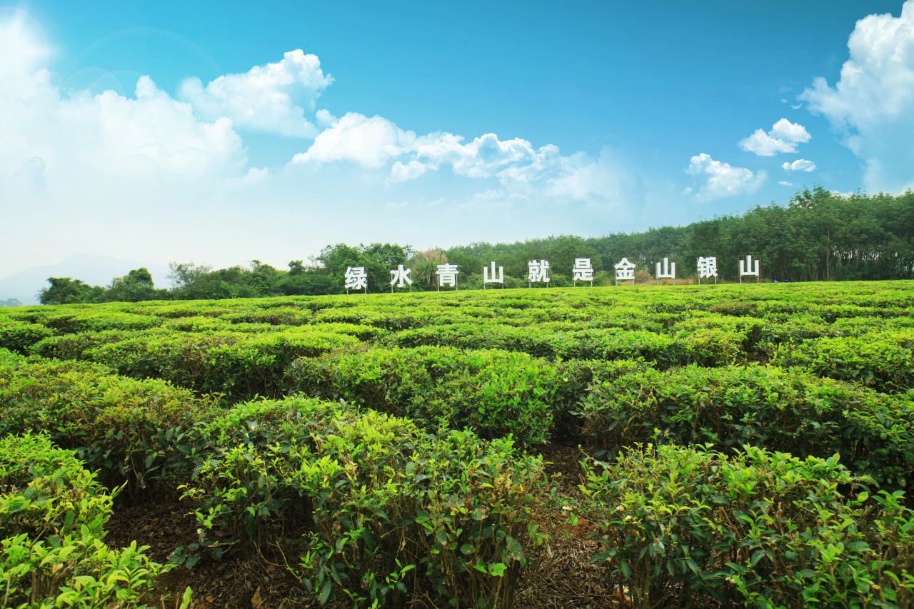 “两山”转化路径先行先试推进“点绿成金”实践创新.jpg “两山”转化路径先行先试推进“点绿成金”实践创新.jpg