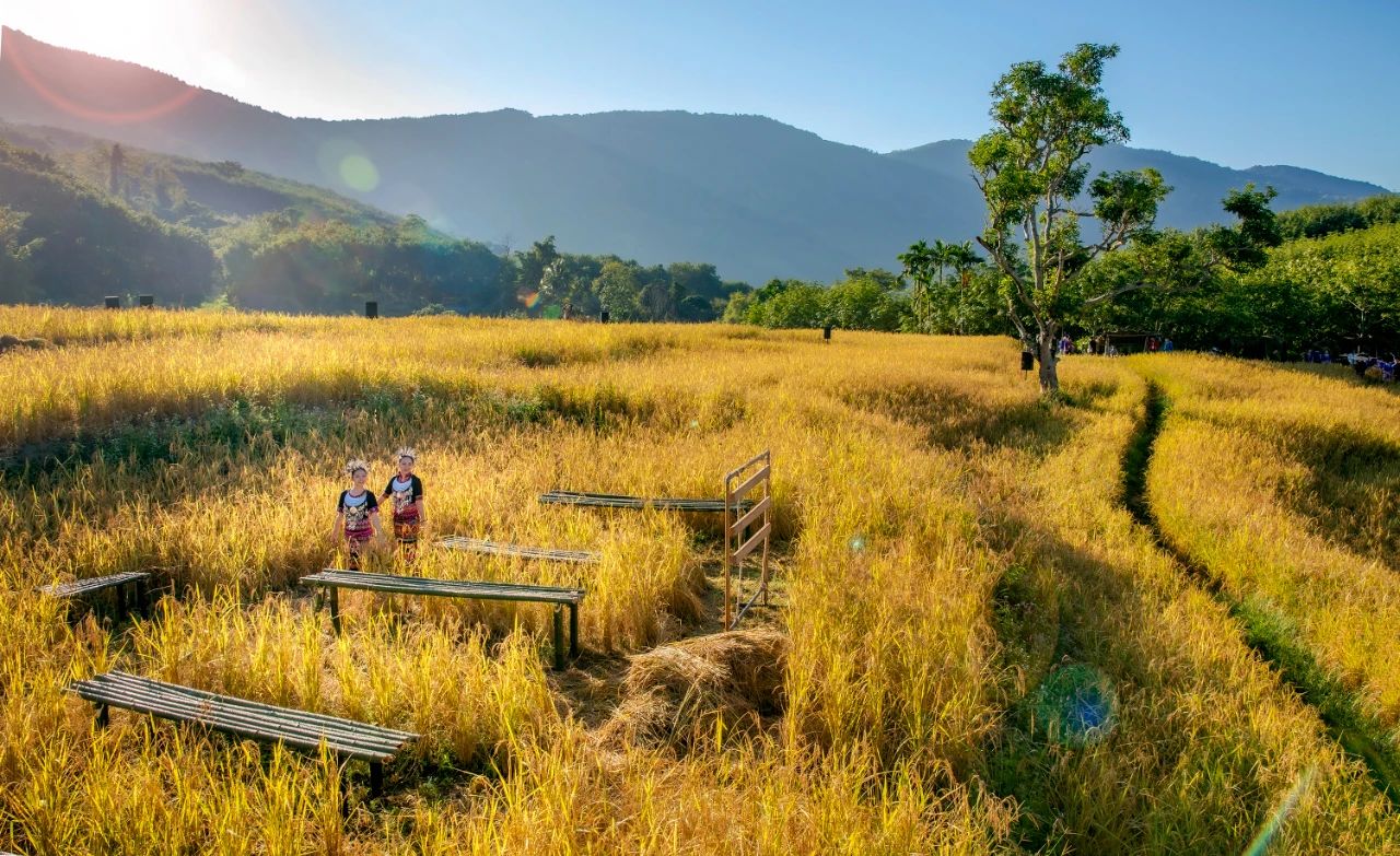 “两山”转化路径先行先试推进“点绿成金”实践创新2.jpg “两山”转化路径先行先试推进“点绿成金”实践创新2.jpg