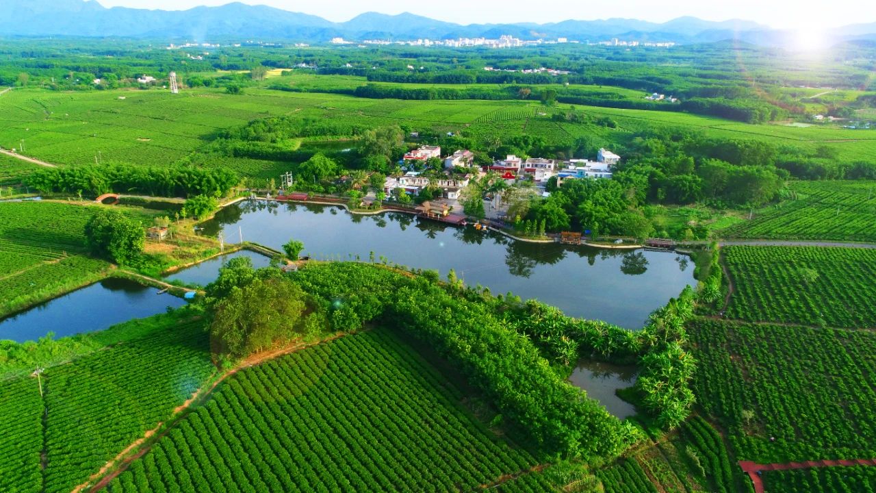 “两山”转化路径先行先试推进“点绿成金”实践创新3.jpg “两山”转化路径先行先试推进“点绿成金”实践创新3.jpg