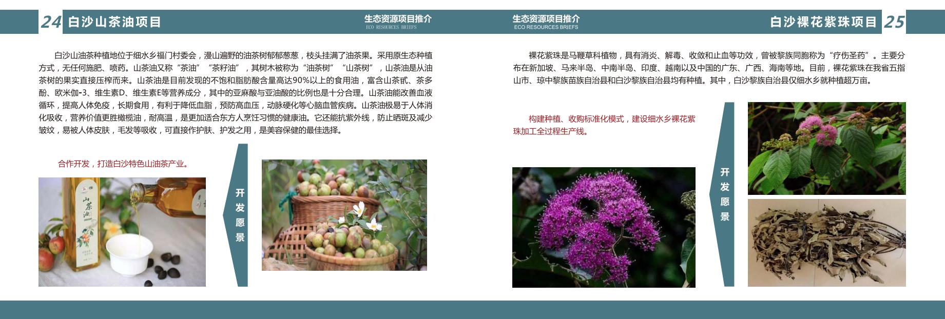 两山平台招商推介图册16.jpg