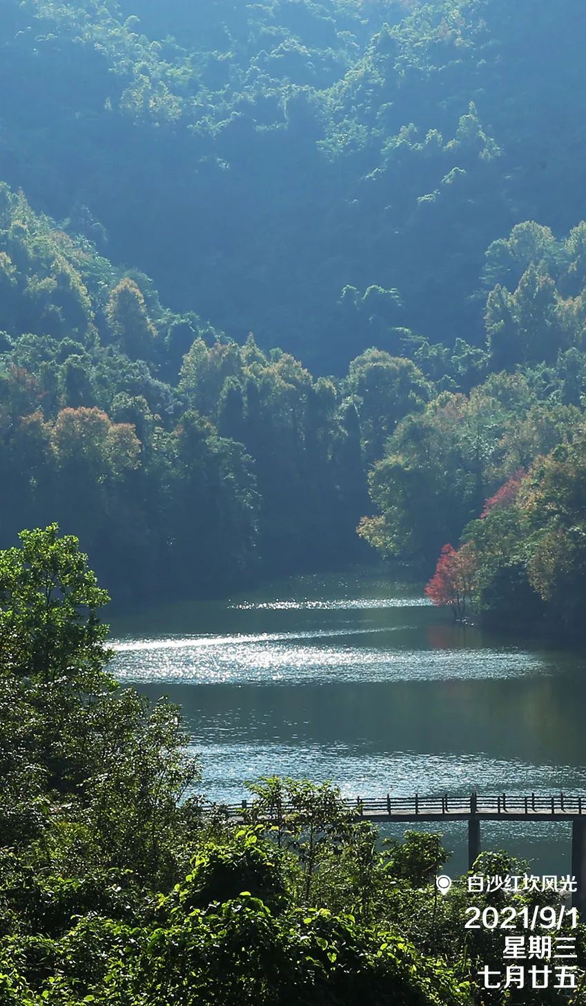 微信图片_20221031113036.jpg 微信图片_20221031113036.jpg